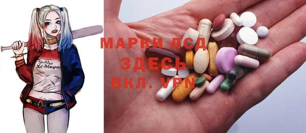 эйфоретик Баксан