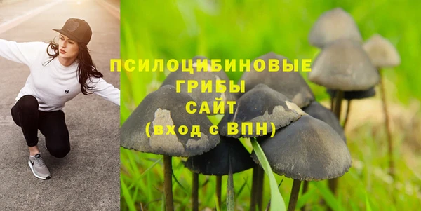 бошки Балахна